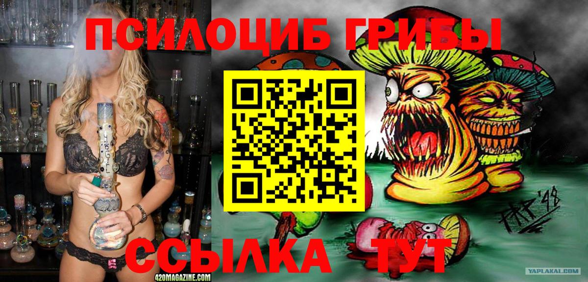 Псилоцибиновые грибы мицелий  Вход с VPN  Амурск 